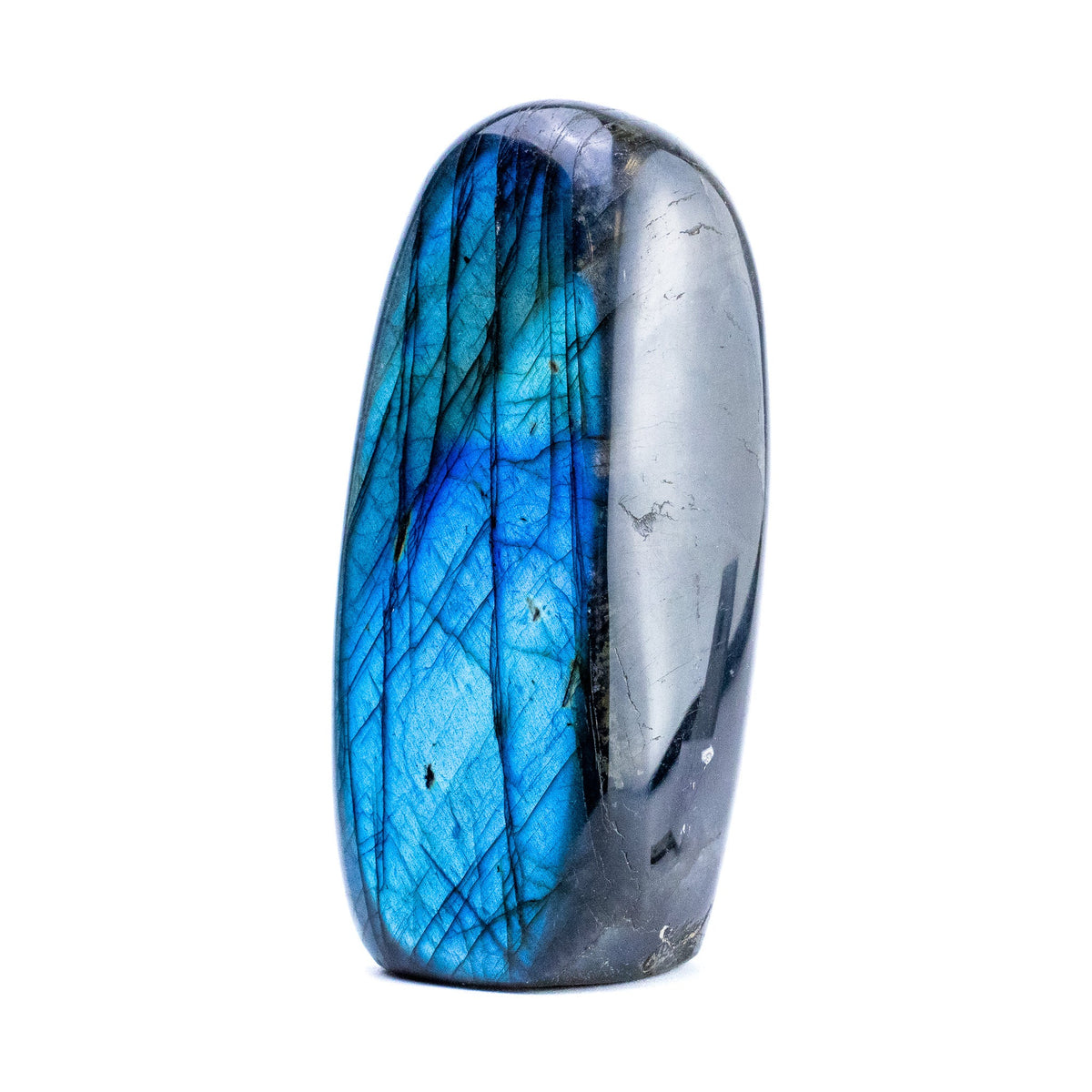 Labradorite Bleue Flash Forme libre