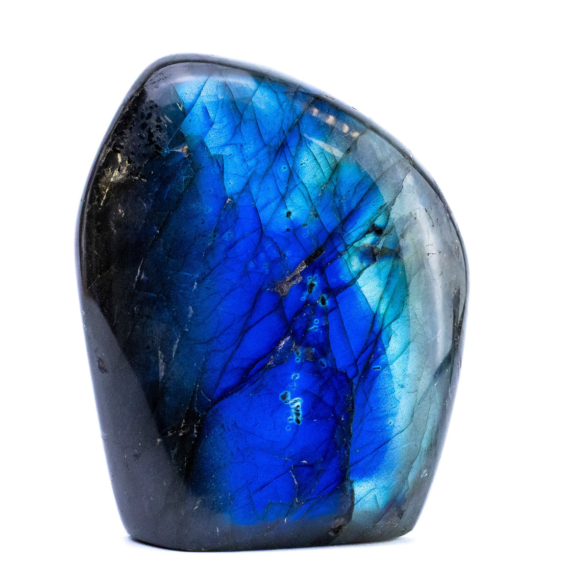Labradorite Bleue Flash Forme libre