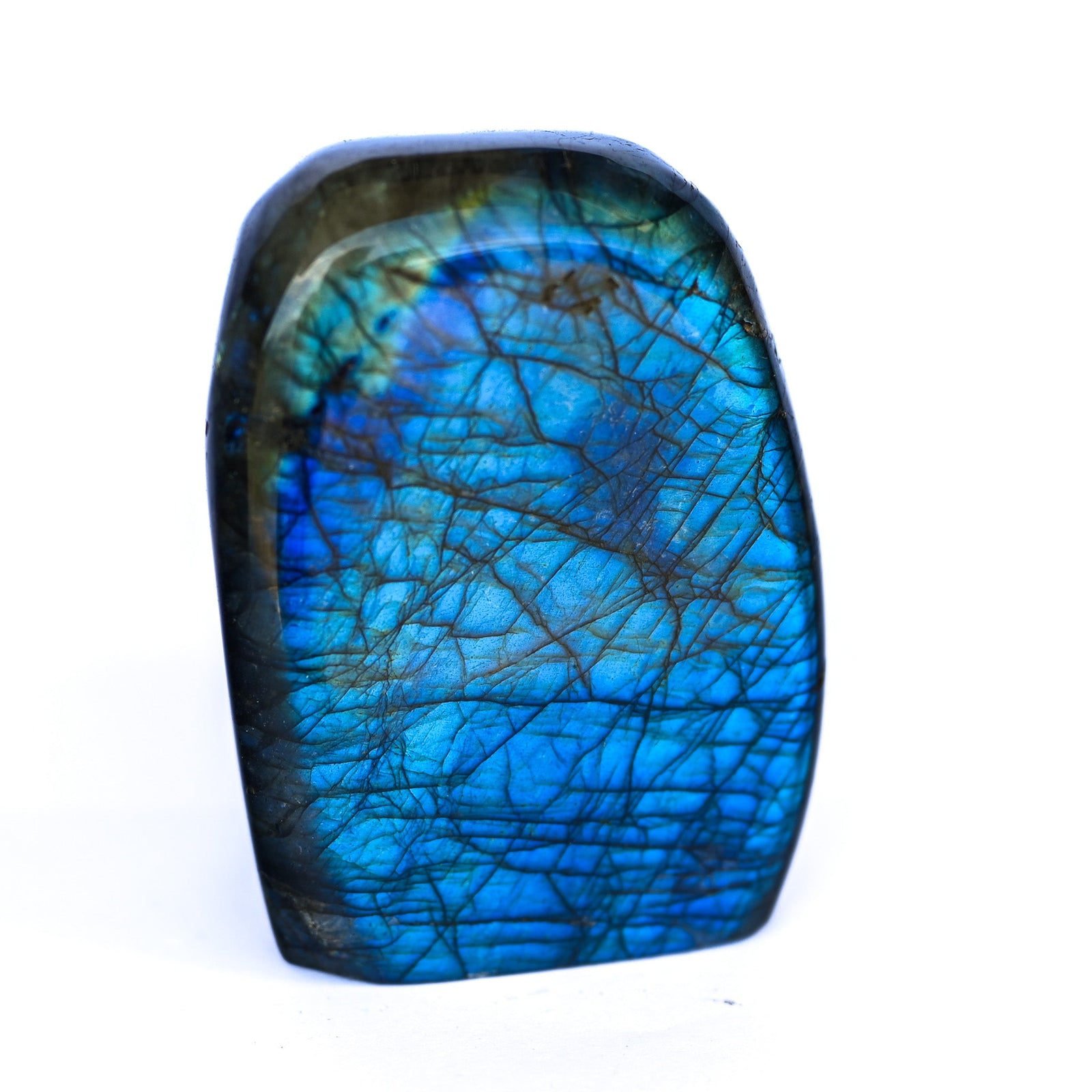 Labradorite Bleue Flash Forme libre