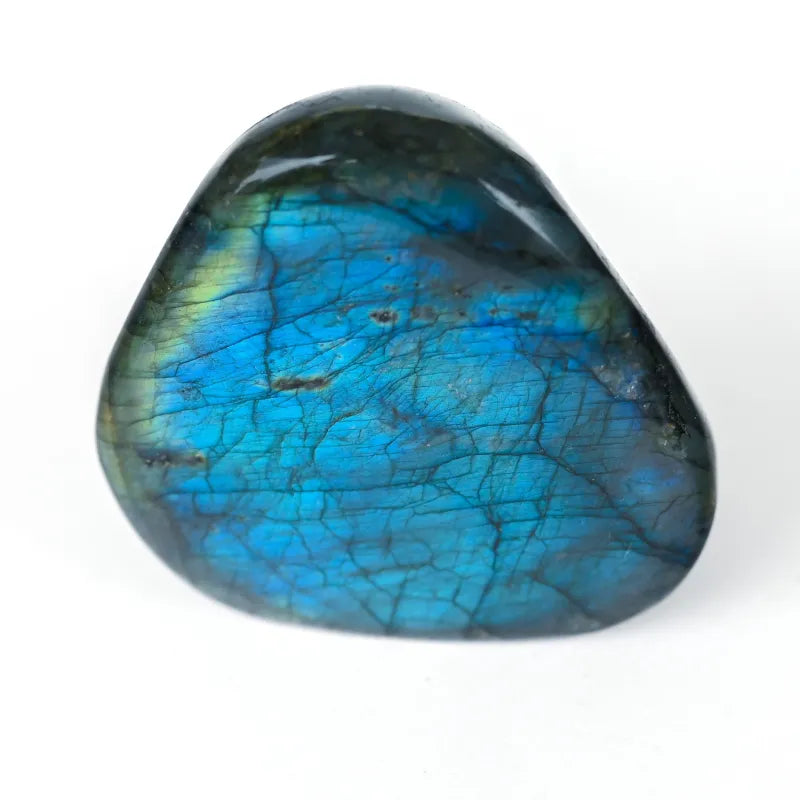 Labradorite Bleue Flash Forme libre