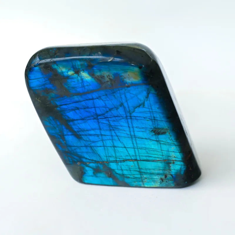 Labradorite Bleue Flash Forme libre