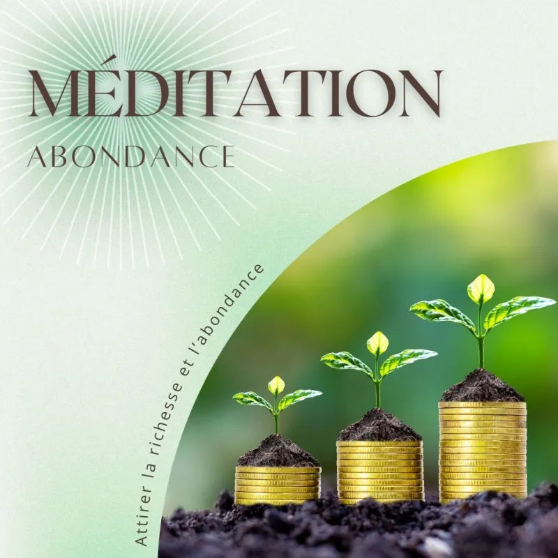 Méditation Abondance