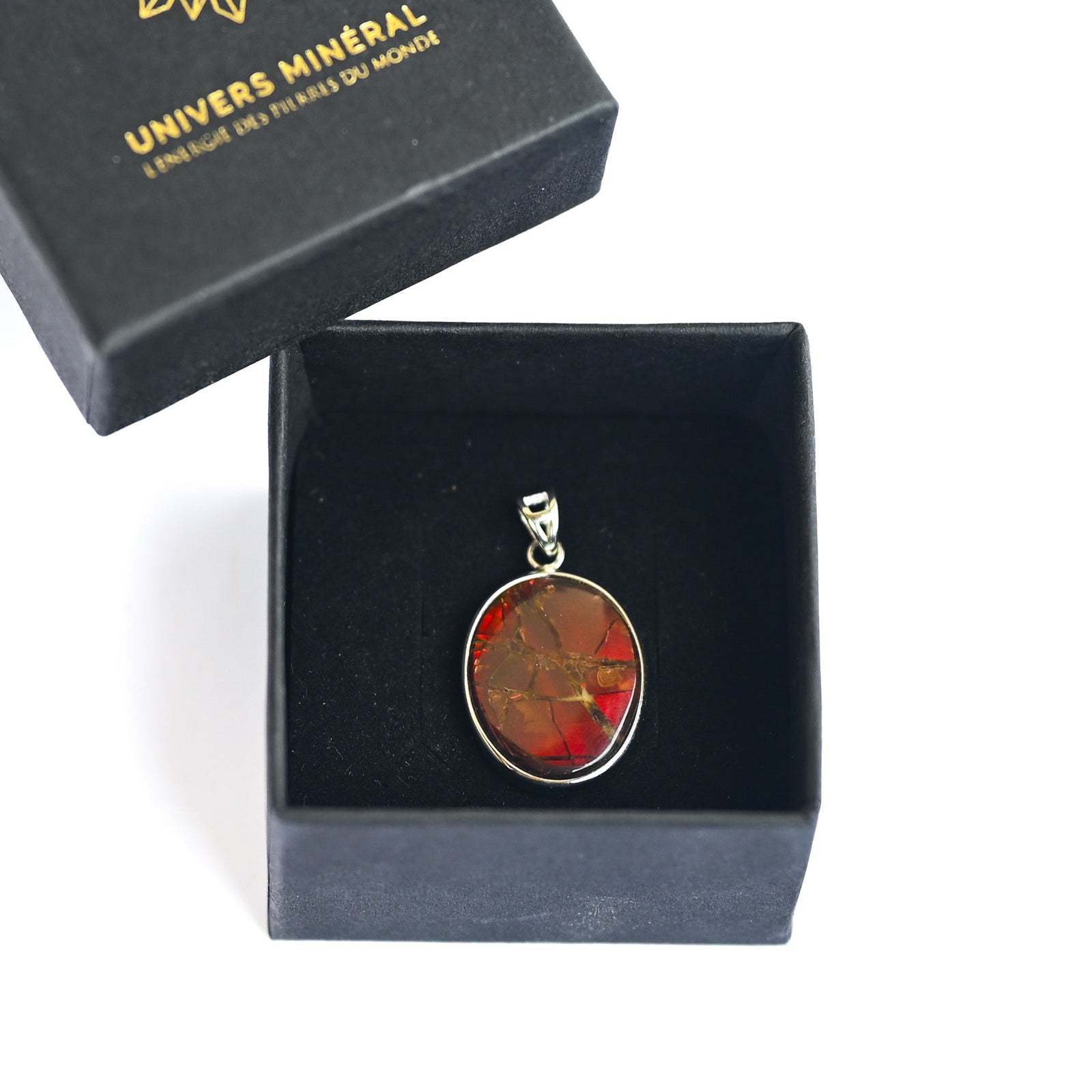 Pendentif Ammolite