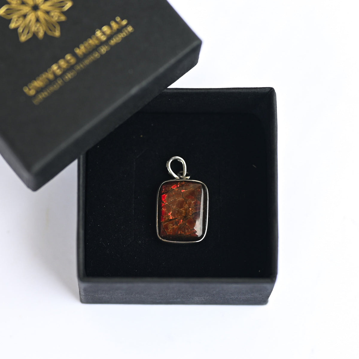 Pendentif Ammolite