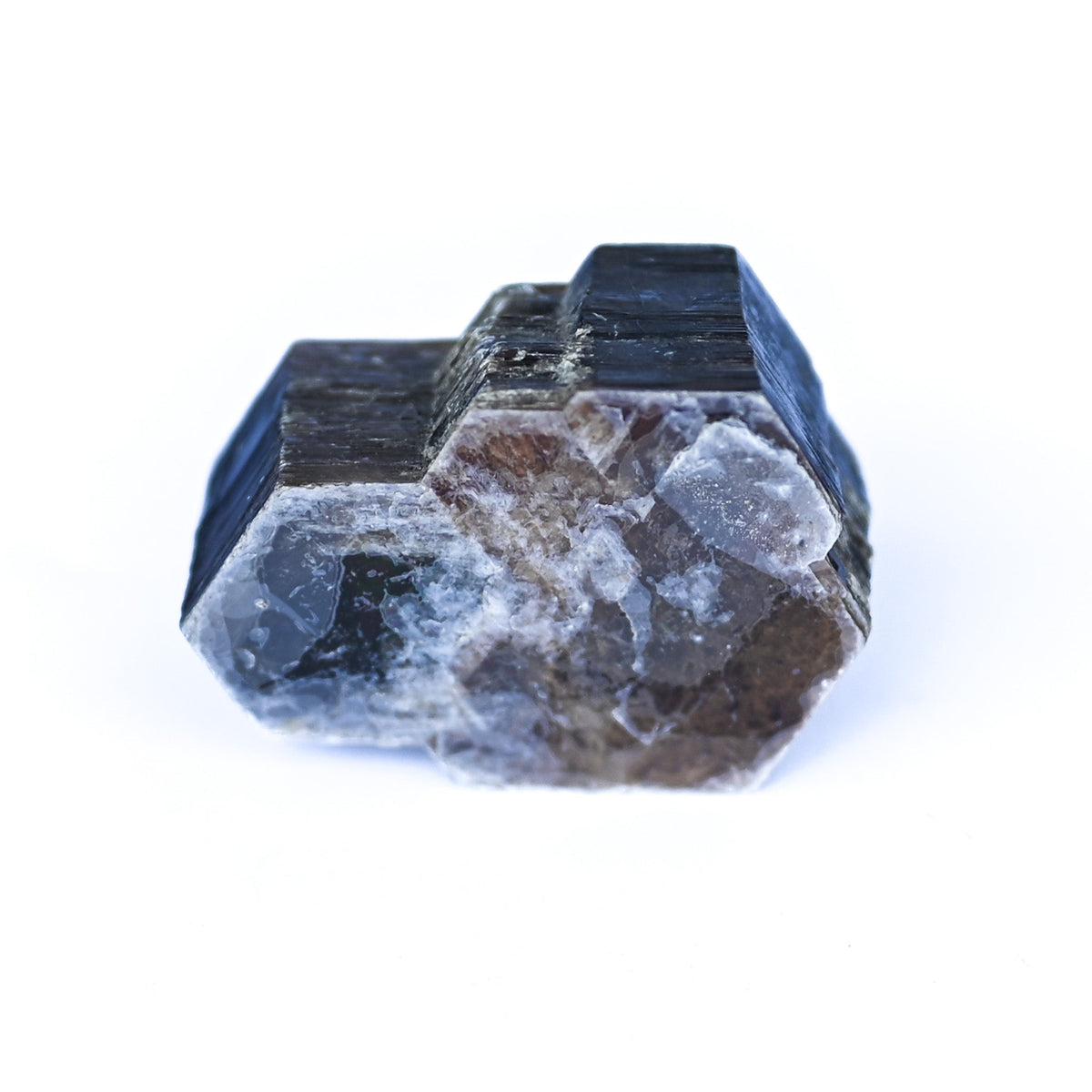Phlogopite
