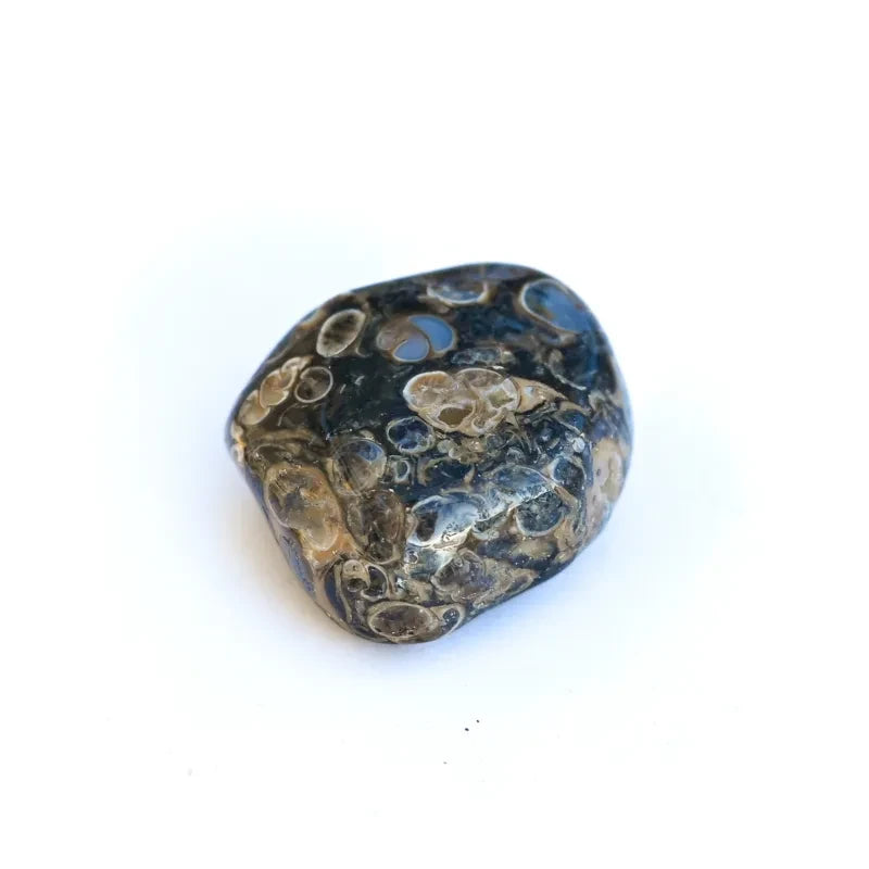 Pierre Agate Turitelle