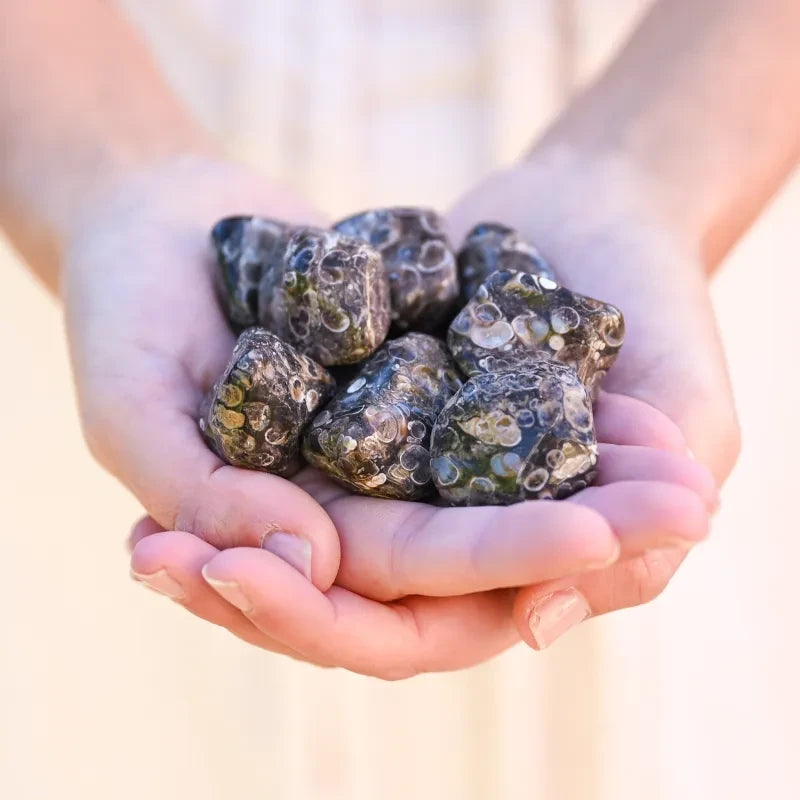 Pierre Agate Turitelle