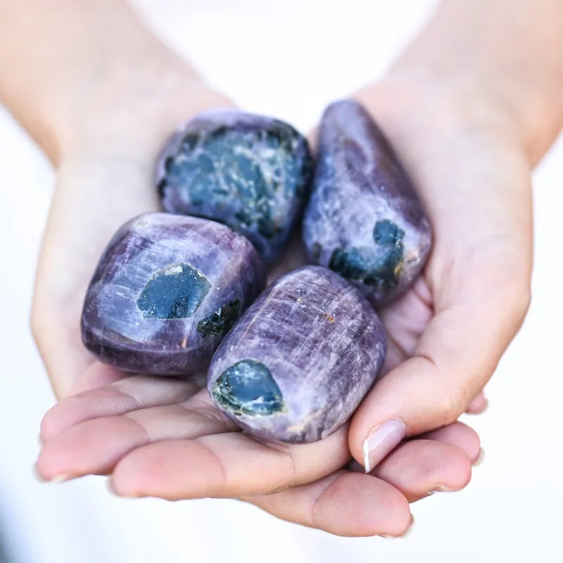 Pierre Anhydrite Violette