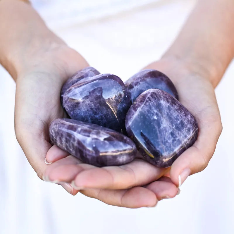 Pierre Anhydrite Violette