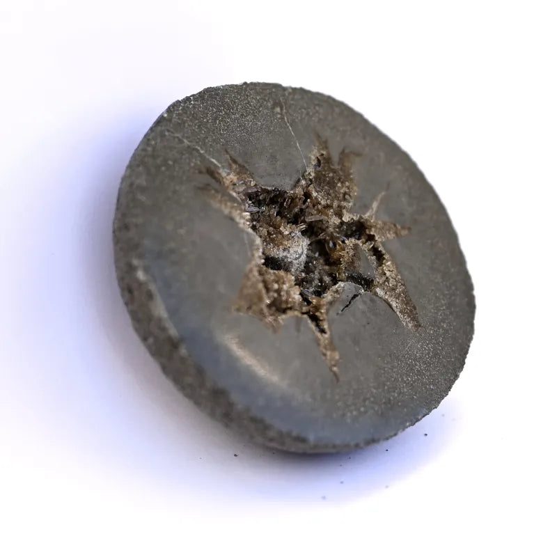 Septaria de France