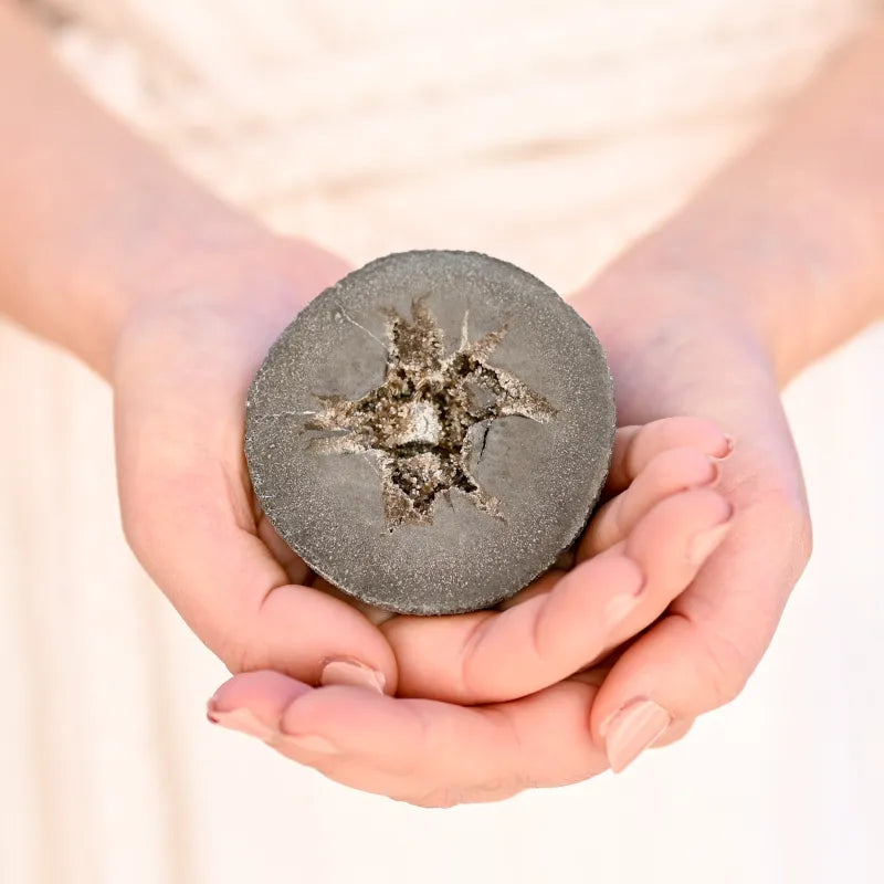 Septaria de France
