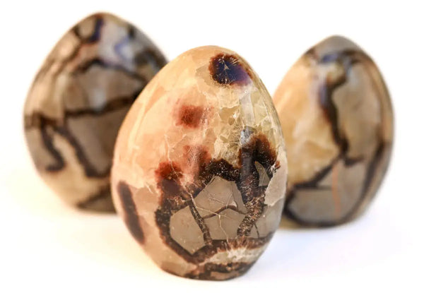 septarias