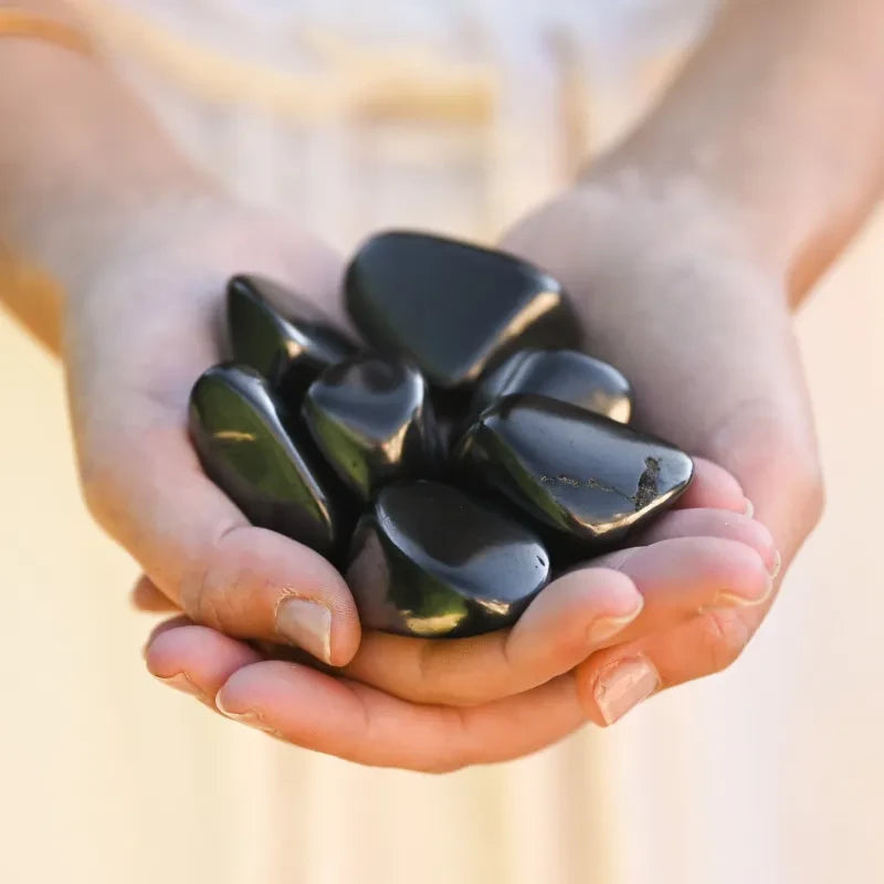 Shungite pierre