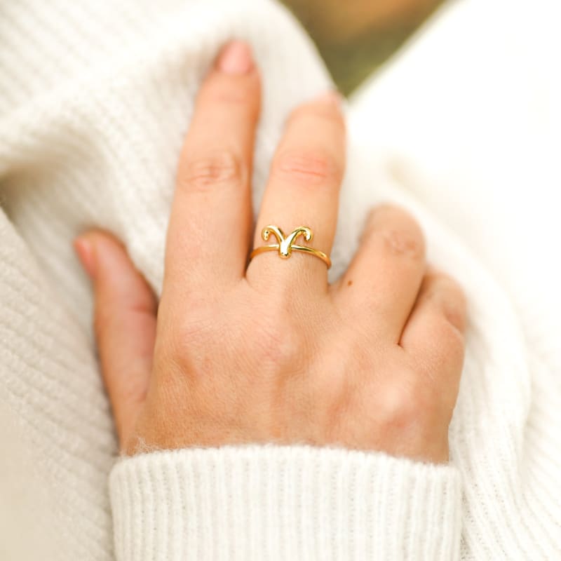 Bague signe astrologique | Univers Minéral