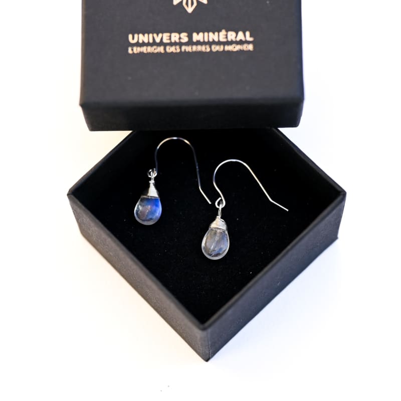 Qings Boucles D'oreilles Chat Lune en Argent Sterling, Animal Mignon Boucles d'oreilles Hypoallergéniques Lune Bleue Clous d'Oreilles pour Femmes Filles Qings Boucles D'oreilles Chat Lune en Argent Sterling, Animal Mignon Boucles d'oreilles Hypoallergéniques Lune Bleue Clous d'Oreilles pour Femmes Filles