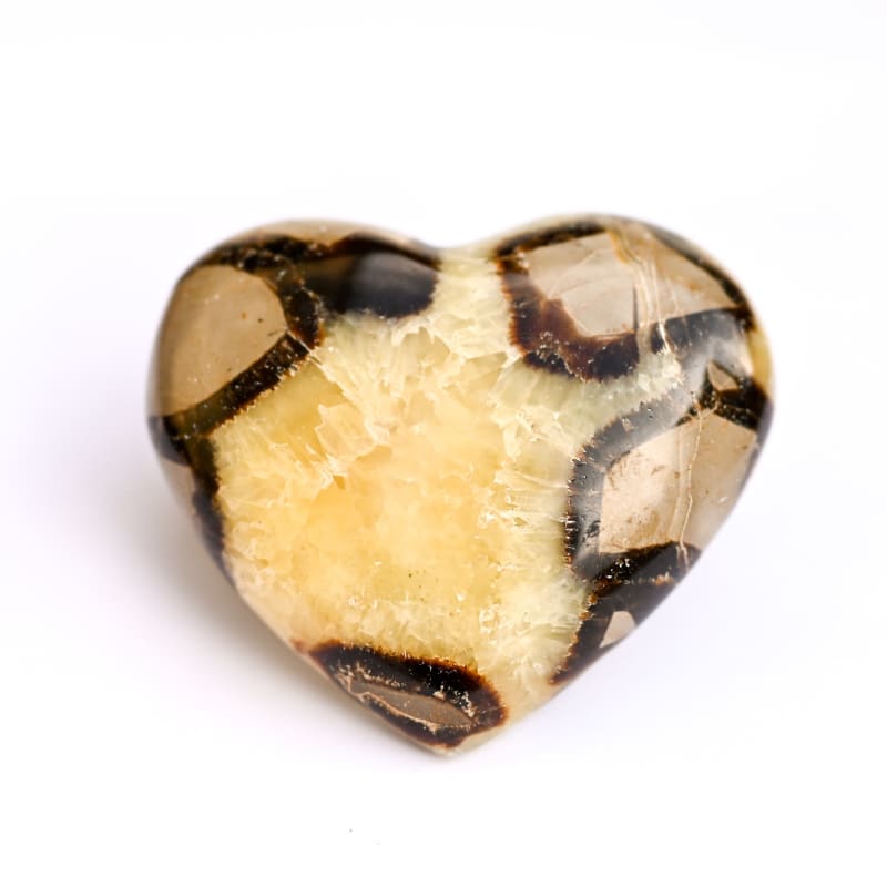 Septaria - Coeur | Univers Minéral