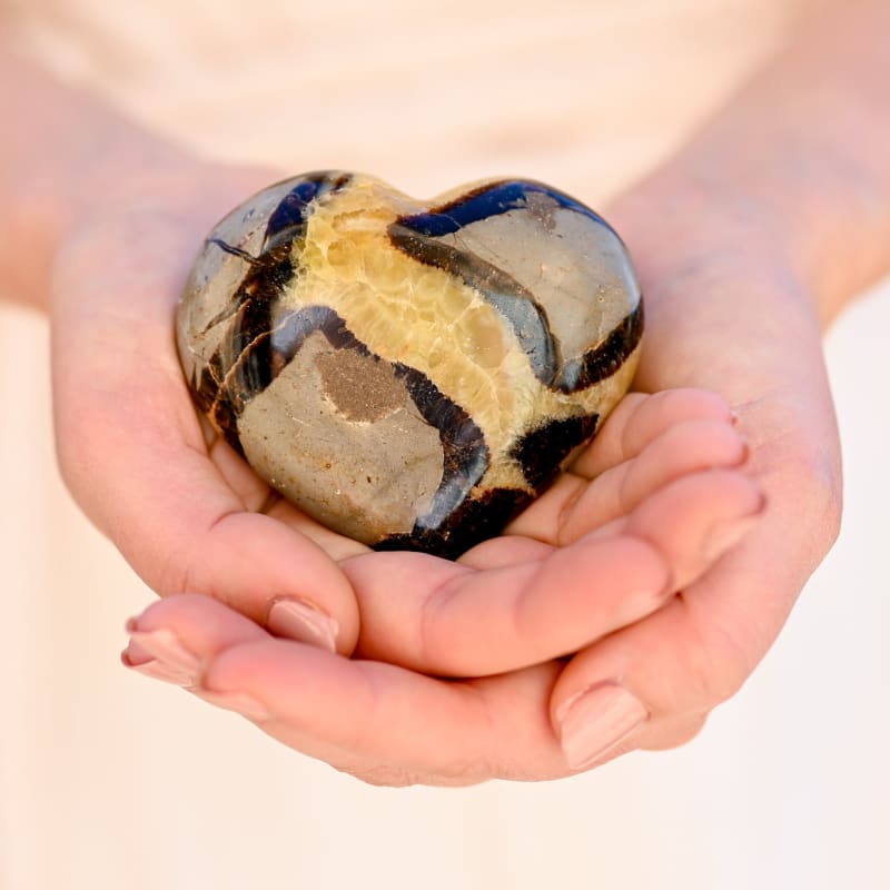 Septaria - Coeur | Univers Minéral